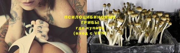 мескалин Мегион
