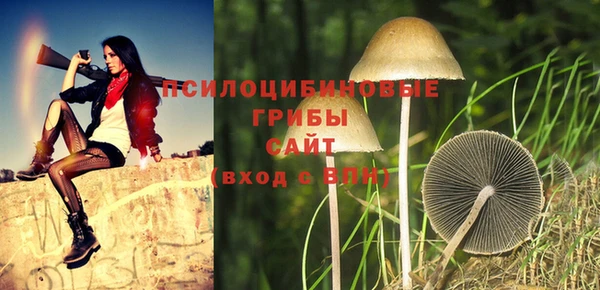 мескалин Мегион