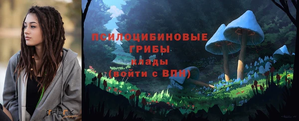 мескалин Мегион