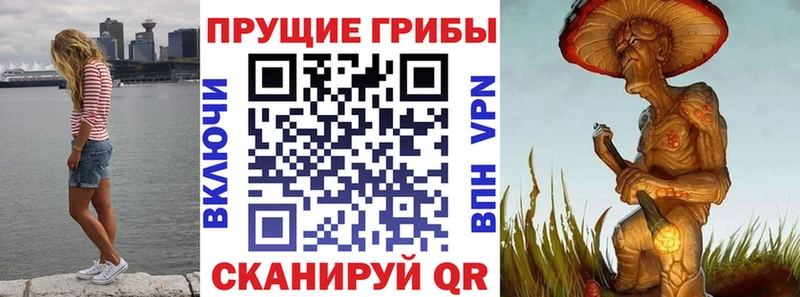 Галлюциногенные грибы Cubensis  Моршанск 